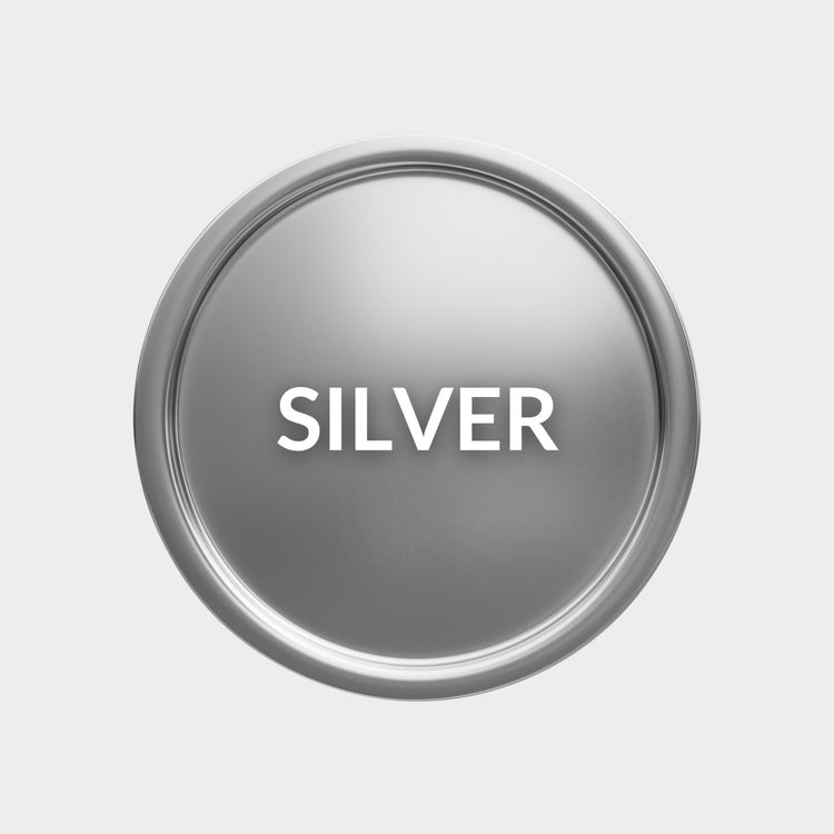 Silver Package